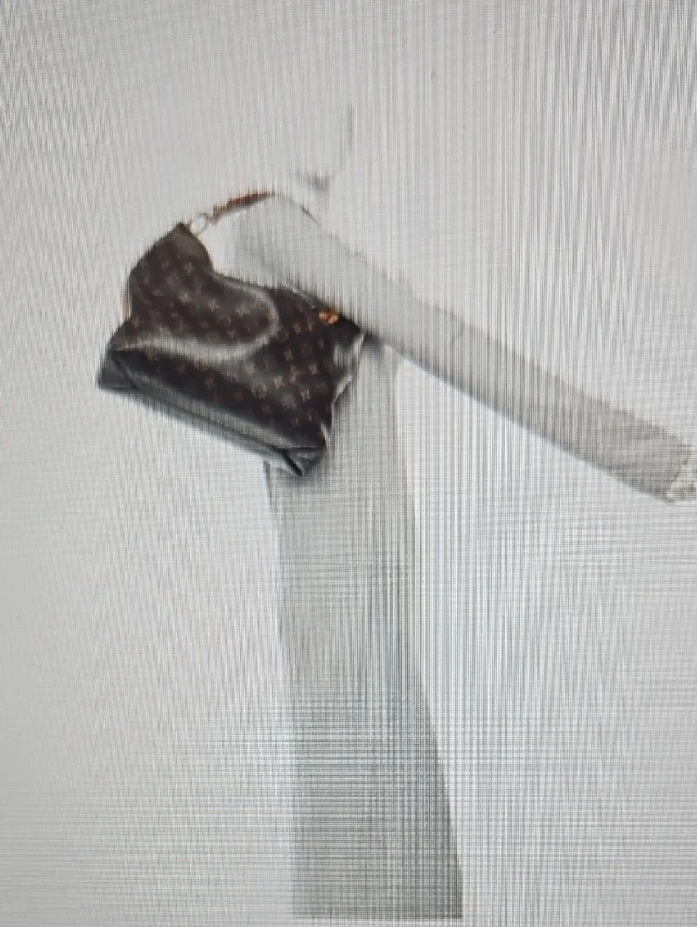 Louis Vuitton Monogram Sully